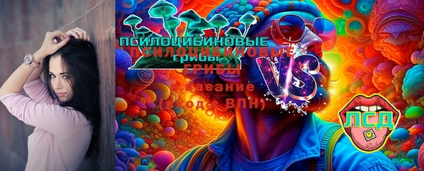 mdpv Баксан