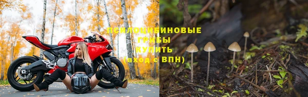 первитин Белоозёрский