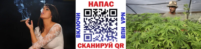 Купить  Старица  Канабис THC 21% 